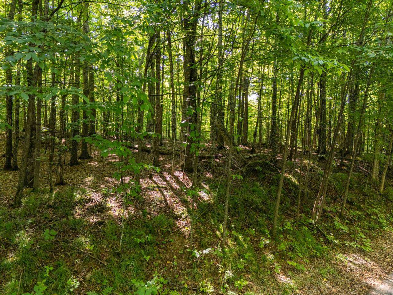 https://bt-photos.global.ssl.fastly.net/northwoods/1280_boomver_3_218887-2.jpg