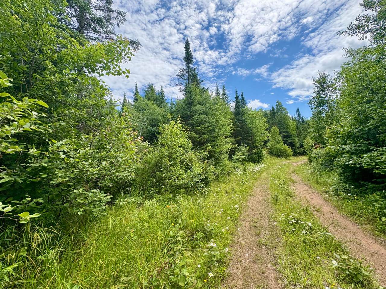 30A Off Minnow Creek Rd - Photo 1