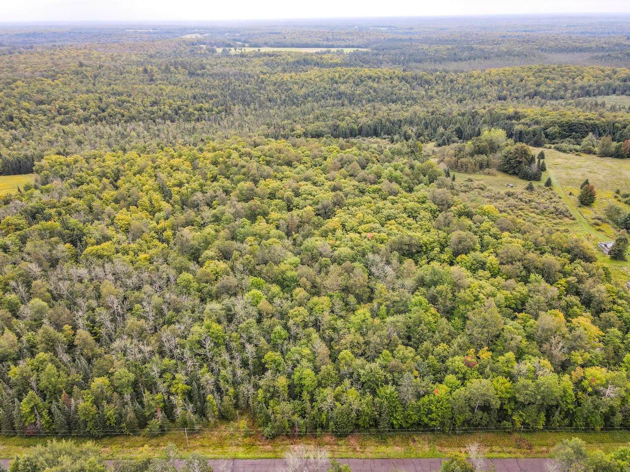 10 acres Bass Lake Rd - Photo 1