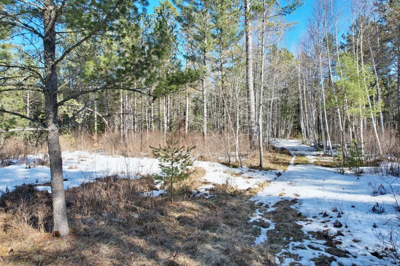 20 ac Spirit Wood Tr - Photo 1