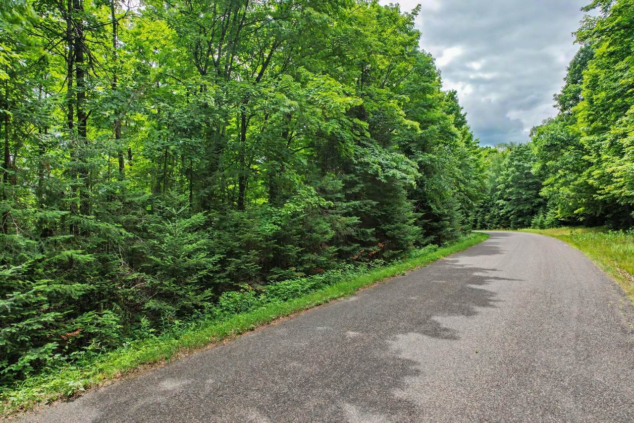 28 Acres Bear Trl - Photo 1