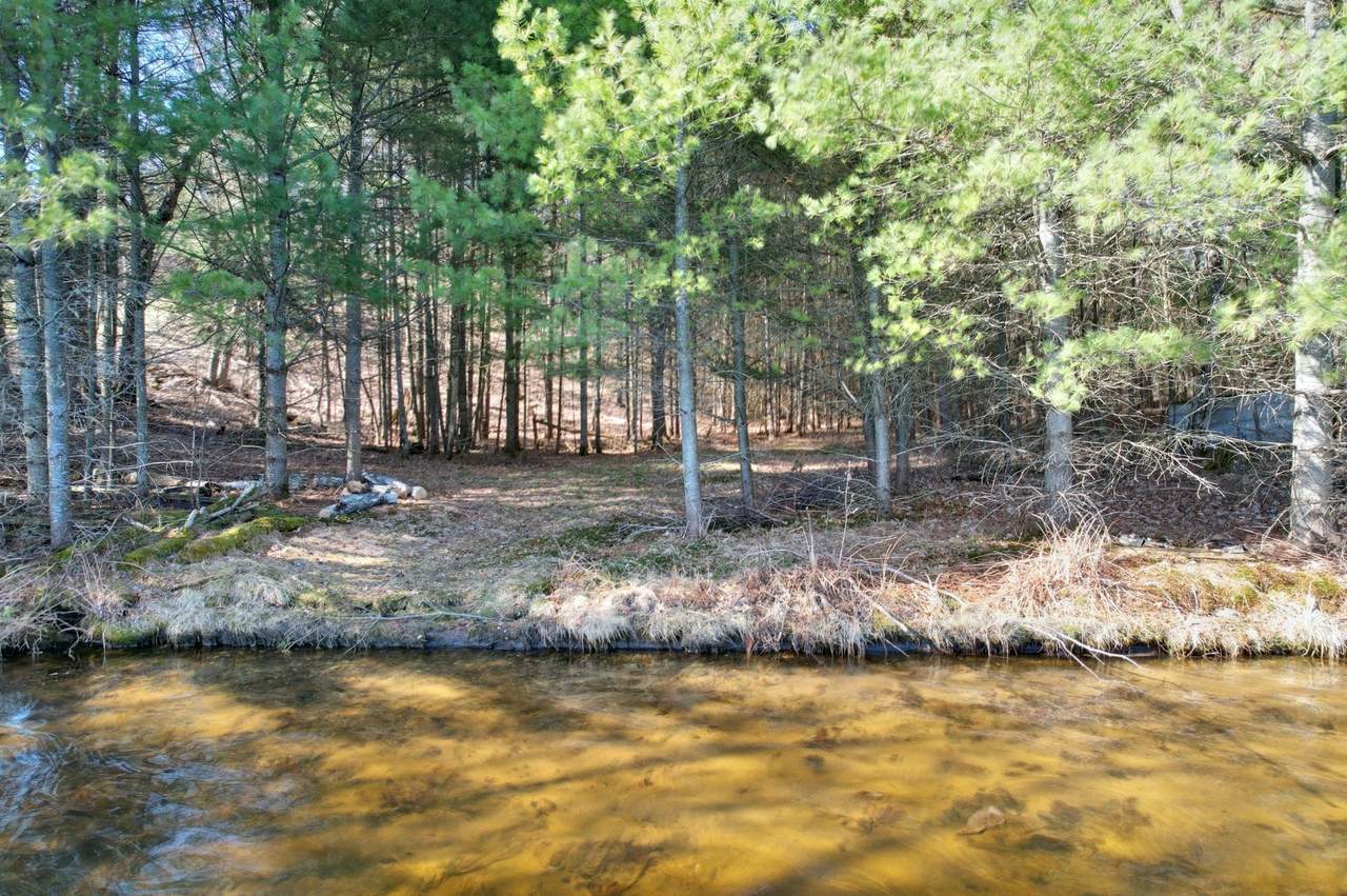 ON Birch Point Rd - Photo 1