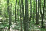 TBD Lakeshore Dr - Photo 6