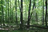 TBD Lakeshore Dr - Photo 7