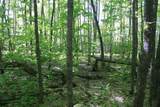 TBD Lakeshore Dr - Photo 8