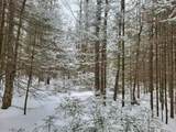 Lot 5 Blue Heron Ridge Rd - Photo 11