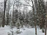 Lot 5 Blue Heron Ridge Rd - Photo 12