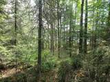 Lot 5 Blue Heron Ridge Rd - Photo 2