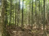 Lot 5 Blue Heron Ridge Rd - Photo 3