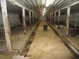 W4590 Wonder Rd - Photo 32