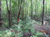 ON Highbridge Tr - Photo 2