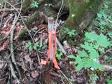 ON Highbridge Tr - Photo 3