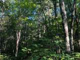4 Ac. Sunrise Camp Rd - Photo 3