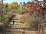 NEAR Rocky Run Rd - Photo 12