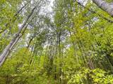 ON Pfeifer Rd - Photo 14
