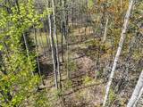 ON Pfeifer Rd - Photo 42