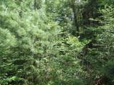 Lot 1 Sand Cove Pointe Rd - Photo 4