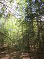 Lot 1 Sand Cove Pointe Rd - Photo 9