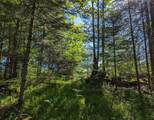 N14056 Pixley Wilderness Shores - Photo 18