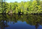N14056 Pixley Wilderness Shores - Photo 21