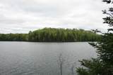 23535 Sucker Lake Rd - Photo 12