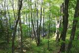 23535 Sucker Lake Rd - Photo 4