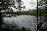 23535 Sucker Lake Rd - Photo 8