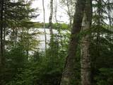 W11060 Le Tourneau Lake Rd S - Photo 25