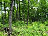 ON Pardee Lake Rd - Photo 10