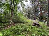ON Pardee Lake Rd - Photo 11