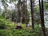 ON Pardee Lake Rd - Photo 3