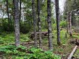 ON Pardee Lake Rd - Photo 6
