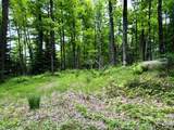 ON Pardee Lake Rd - Photo 7