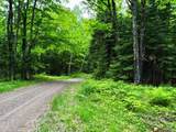 ON Pardee Lake Rd - Photo 9