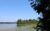 Lot 2 Forest Ln - Photo 13