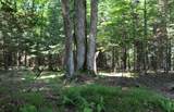 Lot 3 Forest Ln - Photo 5