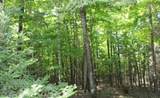 Lot 3 Forest Ln - Photo 9