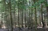 Lot 4 Forest Ln - Photo 11