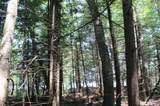 Lot 4 Forest Ln - Photo 12