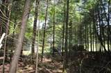 Lot 4 Forest Ln - Photo 13