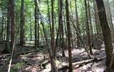 Lot 4 Forest Ln - Photo 14