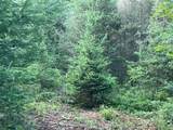 Lt 5 off River Hill Rd - Photo 1