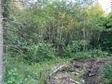 Lt 5 off River Hill Rd - Photo 10