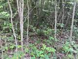 Lt 5 off River Hill Rd - Photo 11