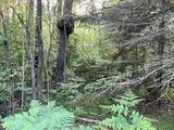 Lt 5 off River Hill Rd - Photo 12