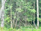Lt 5 off River Hill Rd - Photo 6