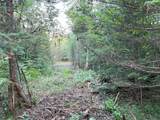 Lt 5 off River Hill Rd - Photo 9