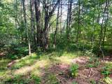 Lot 10 Pine River Rd - Photo 3