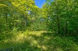 Lot 1 Gaylord Lake Rd - Photo 10