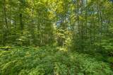 Lot 1 Gaylord Lake Rd - Photo 12